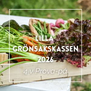 Lilla grönsakskassen - 4 veckors prova-på 2026