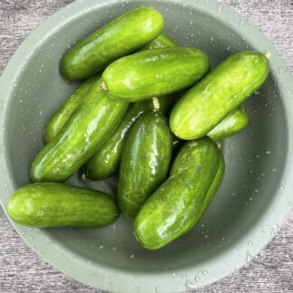 Snacksgurka